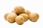  картошка  от  производителя  